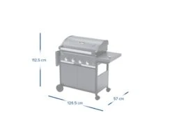 Campingaz Gasbarbecue 4 Series Select 4 Exs -Tuin Hart Boutique 138 4 campingaz gasbarbecue 4 series select 4 exs afmeting dicht 2181088