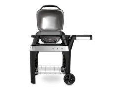 Weber Pulse 2000 Elektrische Barbecue Met Onderstel Black -Tuin Hart Boutique 20 3 weber pulse 2000 elektrische barbecue met onderstel black 82010053