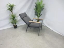 Te Velde Tuinmeubelen Palazzo Aluminium-teak Tuinstoel Verstelbaar -Tuin Hart Boutique 22 4 te velde tuinmeubelen palazzo aluminium teak tuinstoel verstelbaar palazzodinteakverstel