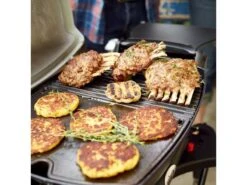 Weber® Q 1200 Gasbarbecue Met Stand -Tuin Hart Boutique 40 3 weber ® q 1200 gasbarbecue met stand 51012475