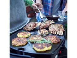 Weber® Q 1200 Gasbarbecue Met Stand -Tuin Hart Boutique 40 5 weber ® q 1200 gasbarbecue met stand 51012475