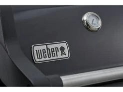 Weber Spirit E-225 Gbs Gasbarbecue Buitenkeuken -Tuin Hart Boutique 43 3 weber spirit e 225 gbs gasbarbecue buitenkeuken 46312264
