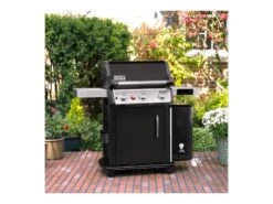Weber Spirit Epx-325s Gbs Smart Gasbarbecue Buitenkeuken -Tuin Hart Boutique 45 3 weber spirit epx 325 s gbs smart gasbarbecue buitenkeuken 46713564