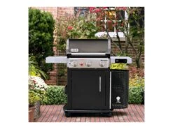 Weber Spirit Premium Epx325 Smart Gbs Gasbarbecue Buitenkeuken 12 Weber Spirit Premium Epx325 Smart Gbs Gasbarbecue Buitenkeuken -Tuin Hart Boutique 48 4 weber spirit premium epx325 gbs gasbarbecue buitenkeuken 46713764