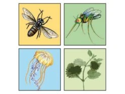 Travelsafe Bite Relief Lotion -Tuin Hart Boutique 5 2 travelsafe bite relief lotion ts93