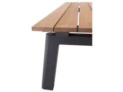 Taste By 4so Ravenna Salontafel -Tuin Hart Boutique 55 3 taste by 4so ravenna salontafel detail blad 91440