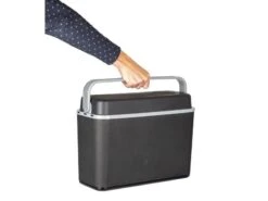 Autokoelbox - Arctic - 12 Volt - 12 Liter - Zwart/Grijs -Tuin Hart Boutique 57 5 autokoelbox artic 12 volt 12 liter zwart grijs 6702862